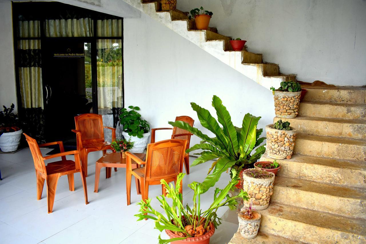 Yoho Pedro Resort Nuwara Eliya Zewnętrze zdjęcie